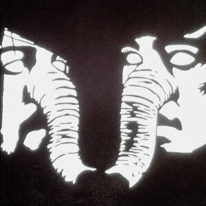 Death From Above 1979 kündigen neues Album "Private Lives" an