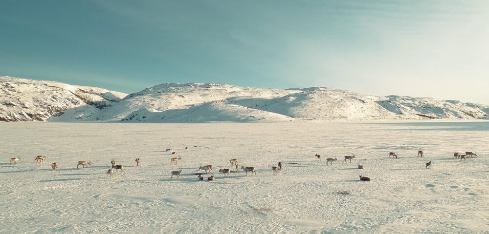 Kino-Tipp: Klimawandel-Doku mit beeindruckenden Bildern läuft ab morgen für wenige Tage in Berlin